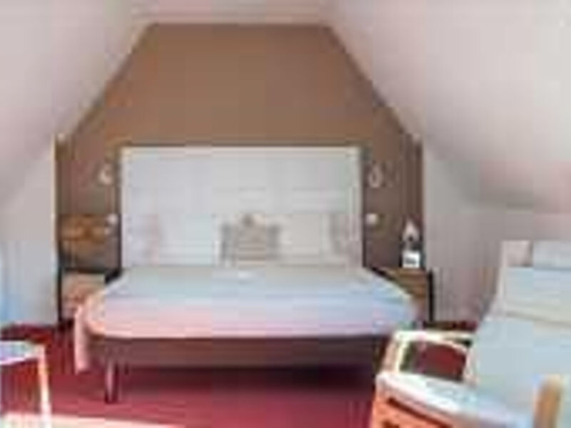 Best Western Plus Hotel Au Cheval Blanc s