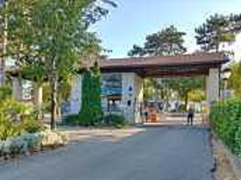 Camping Village Mare Pineta