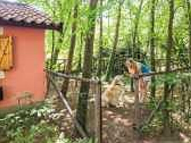 Villaggio Turistico Il Paese di Ciribi