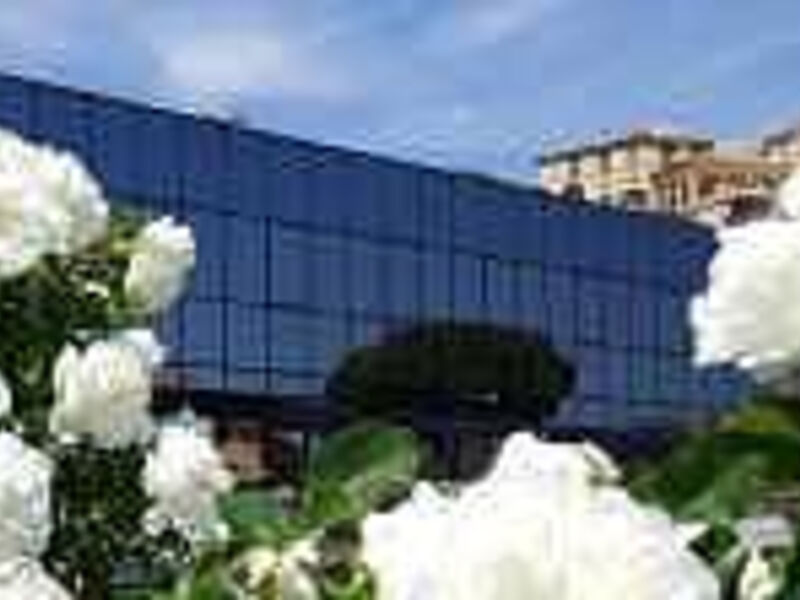 Riviera Palace