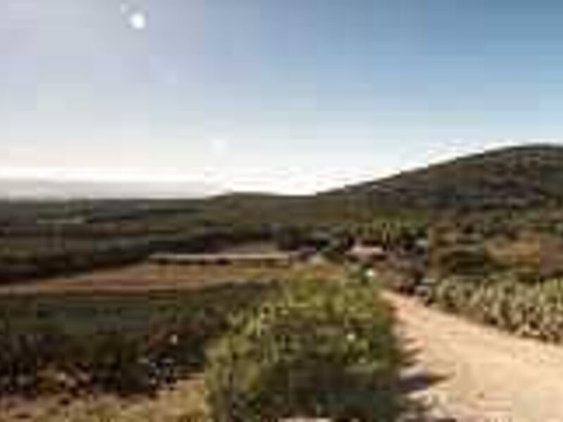 Il Podere Di Monte Sixeri - Residenze Di Campagna