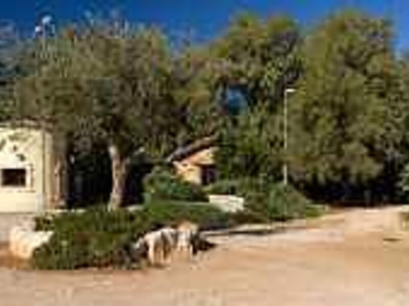 Il Podere Di Monte Sixeri - Residenze Di Campagna