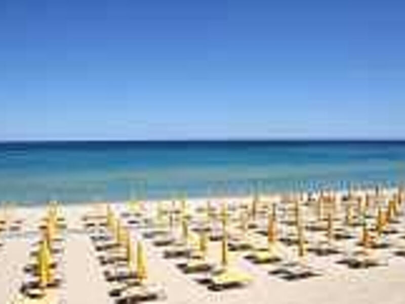 Free Beach Club