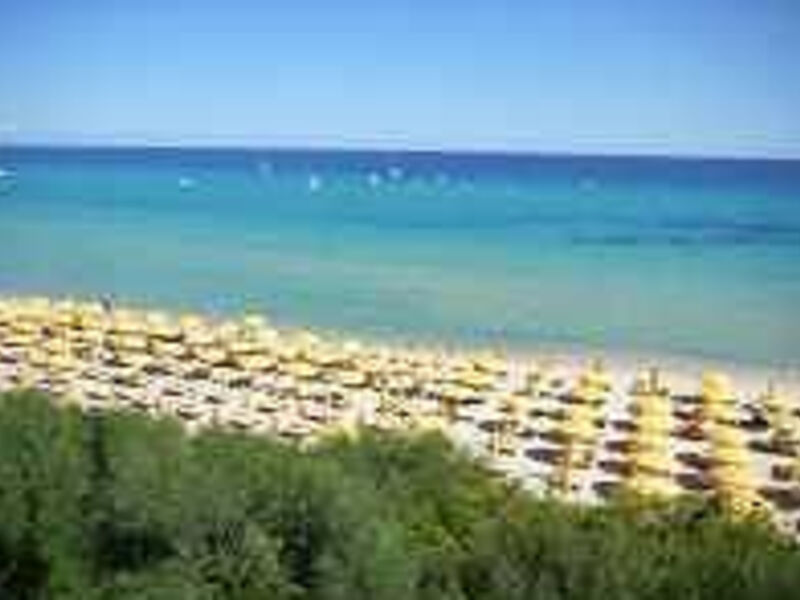 Free Beach Club