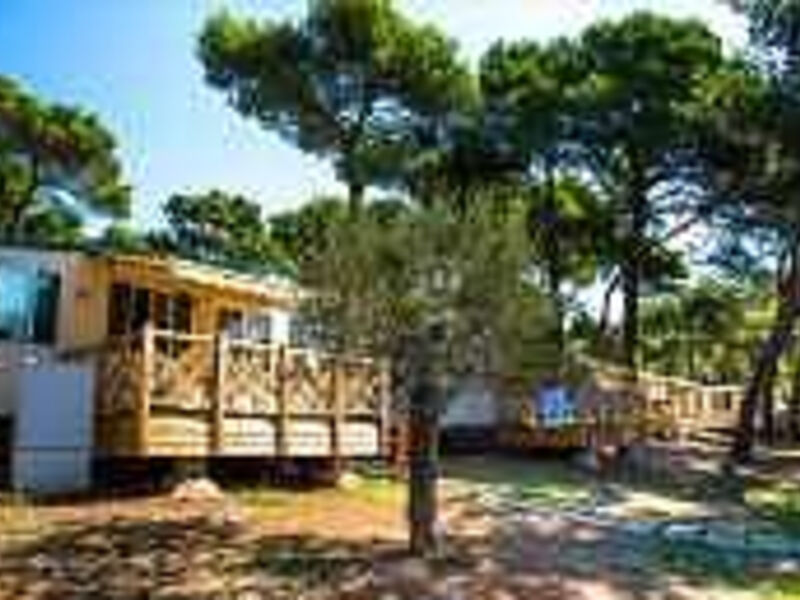 Camp ARENA Indije-Mobile Homes