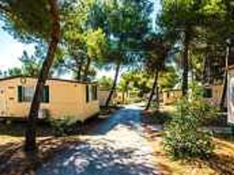 Camp ARENA Indije-Mobile Homes