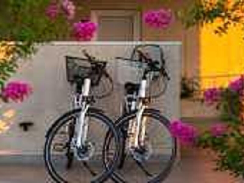 Boutique Camping SANTA MARINA