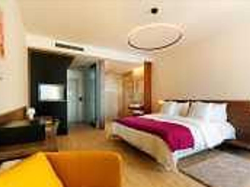 Hotel OLA