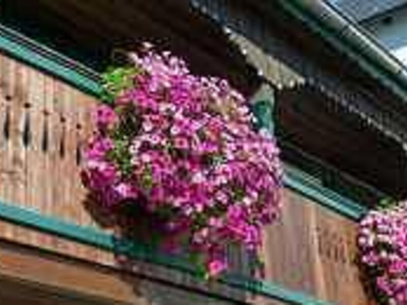 Seehotel Schlick