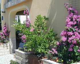 Apartmány 549-321