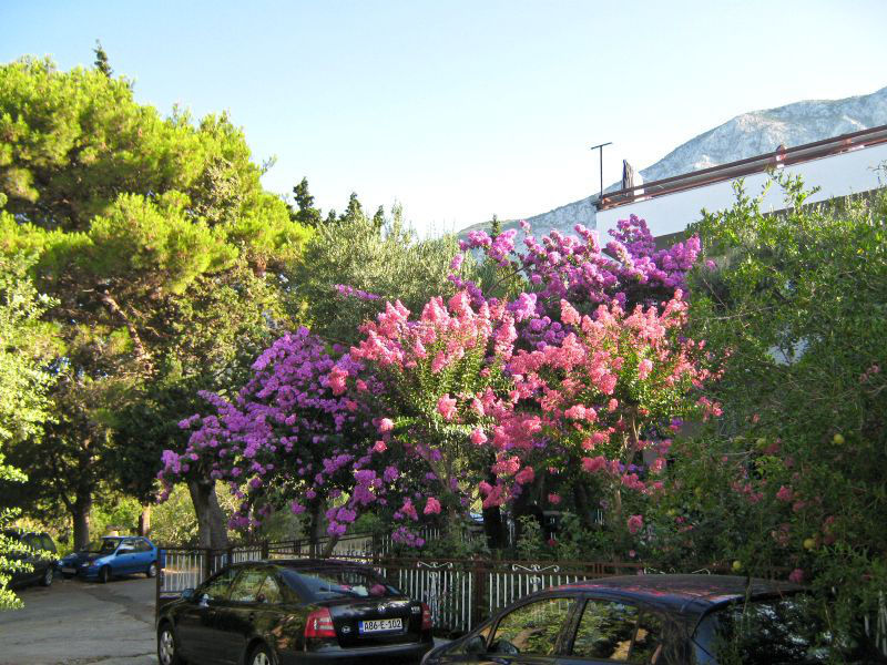 Apartmány Frane