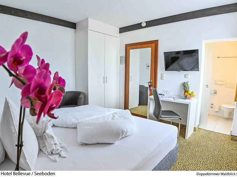 Hotel Bellevue