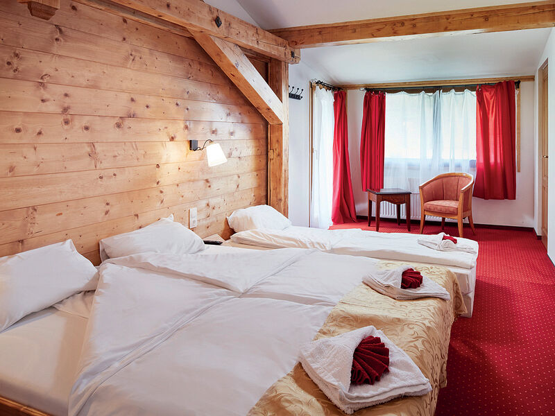 Active Hotel Wildkogel