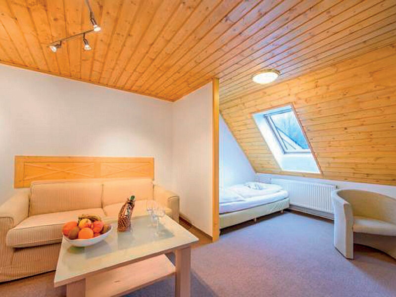 Hotel Tri ruze