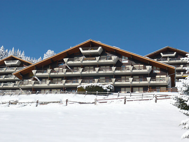Centaure