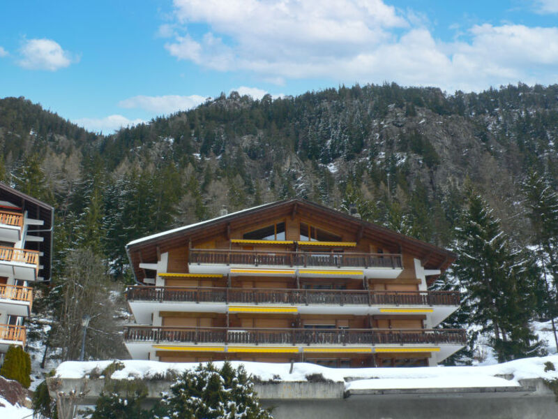 Mon Rêve