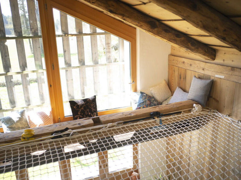 Appartement - N°5