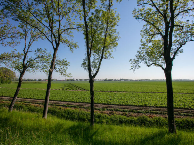 Tuinzicht