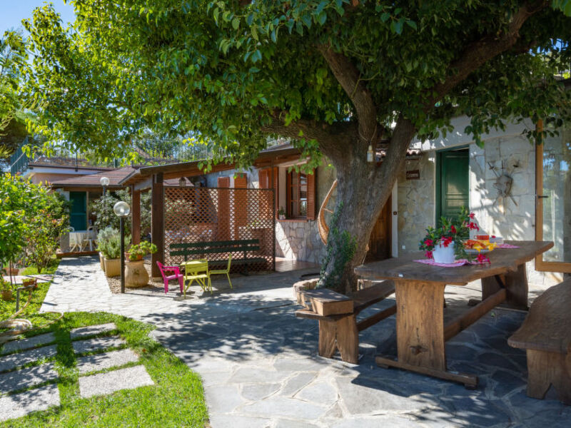 Mimosa - Agriturismo San Giuseppe