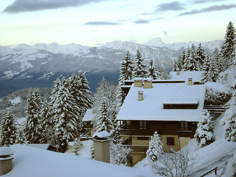 Les Arsets