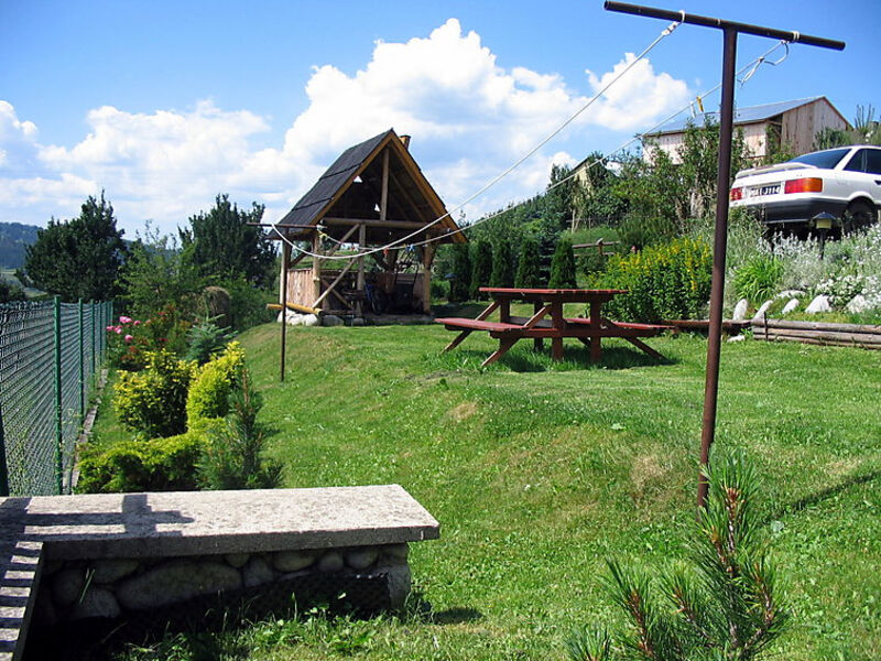 Duży