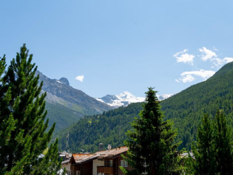 Haus Alpenstern, Wohnung Distel