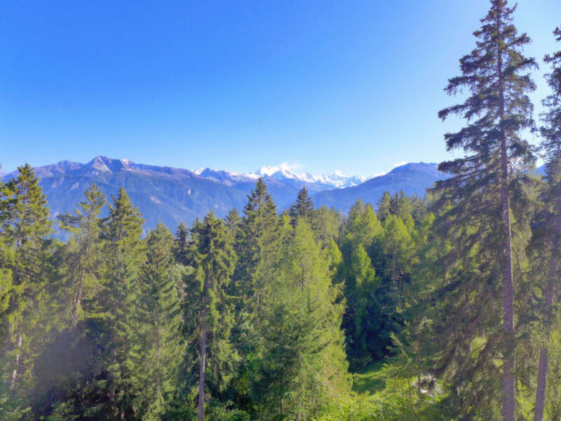 Les Faverges