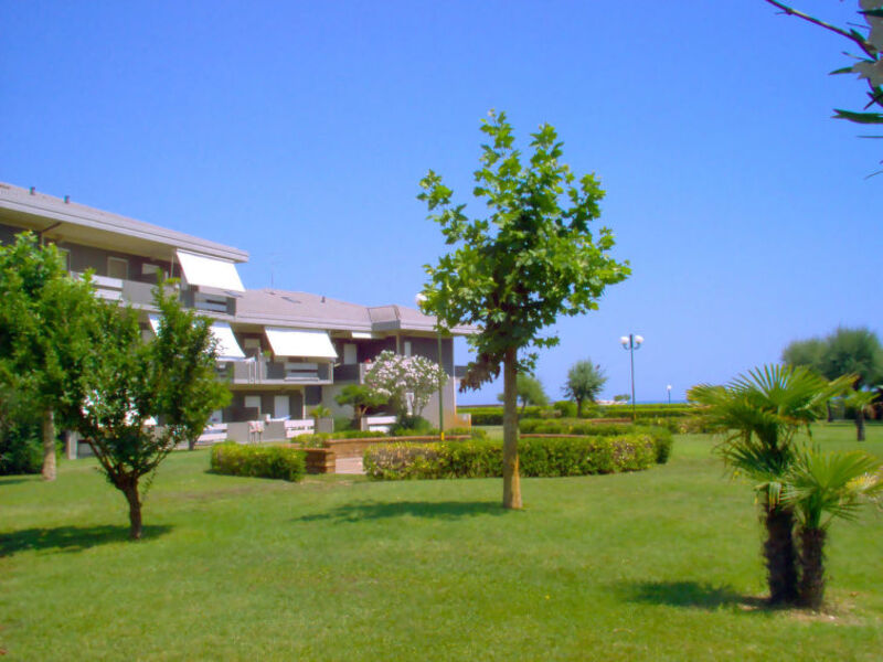 Green Marine, Palme, Ismare