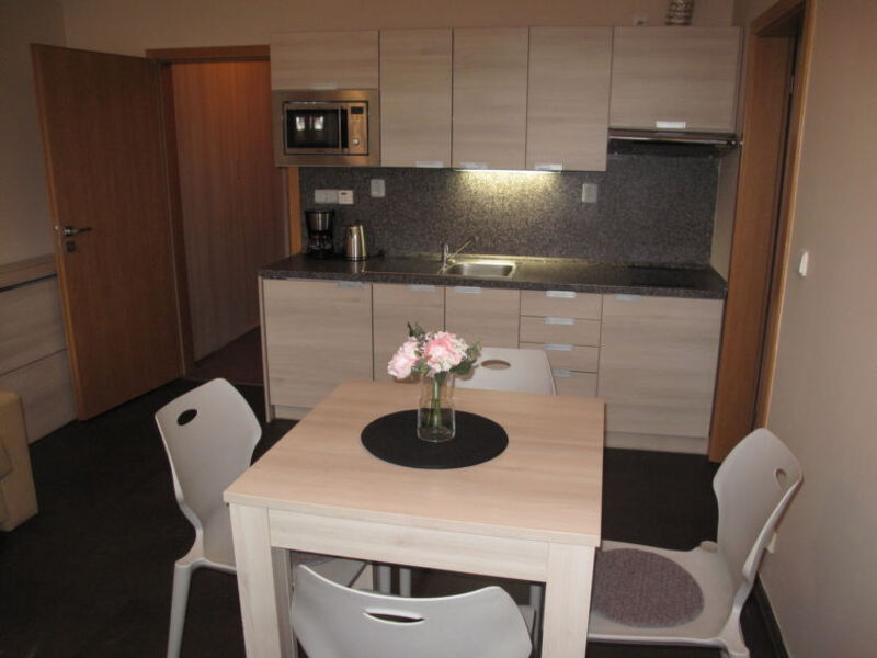 Resident Harrachov B