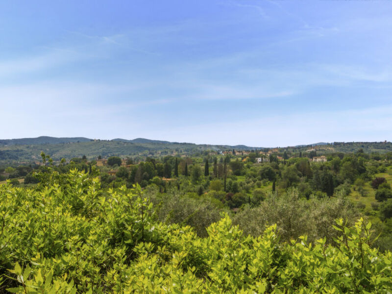 La Limonaia