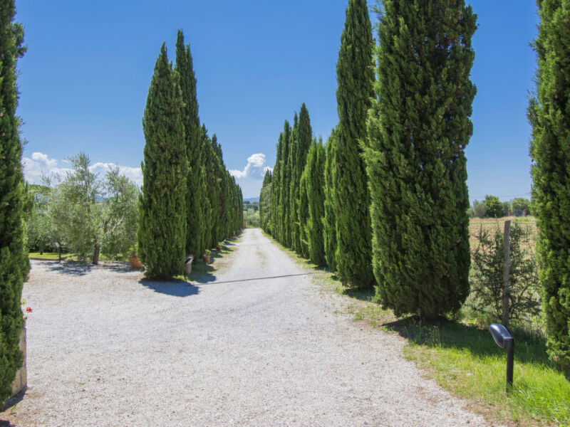 Podere Tre Termini