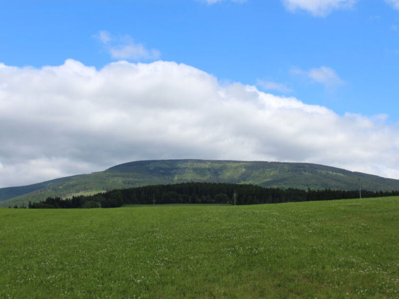 Happy Hill