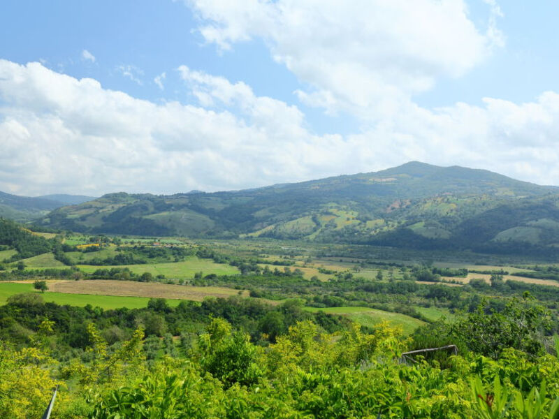 Casa Dell'Orto