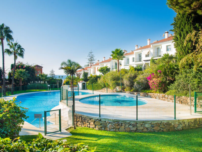 Olivar