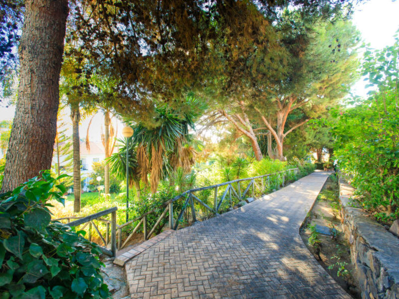 Olivar