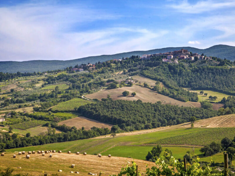Allerona