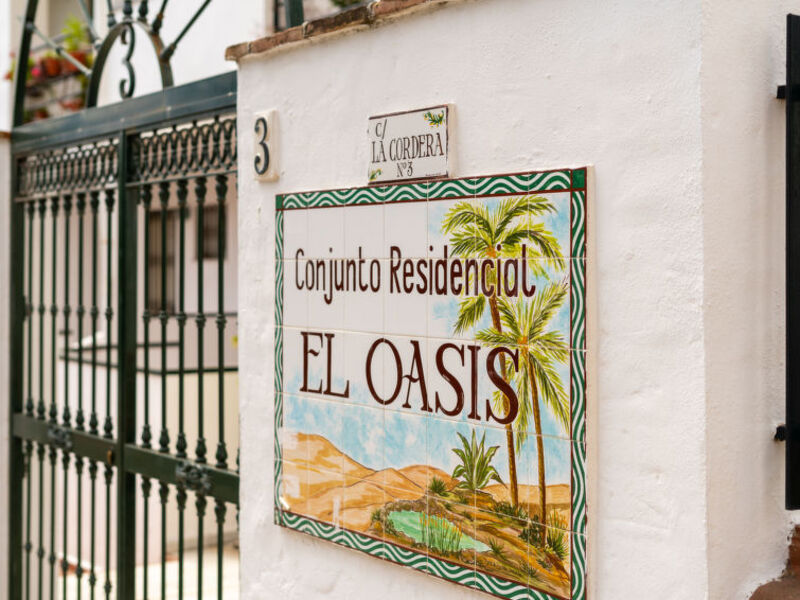 Oasis