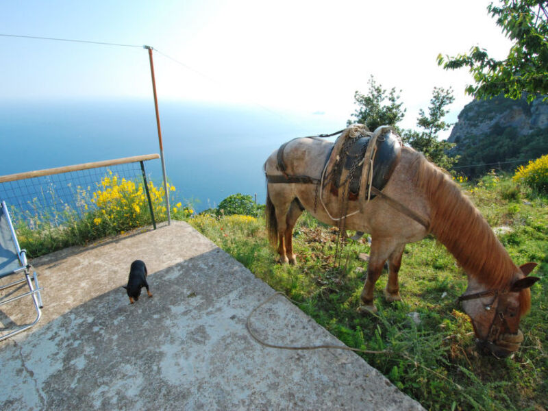 Path Of The Gods