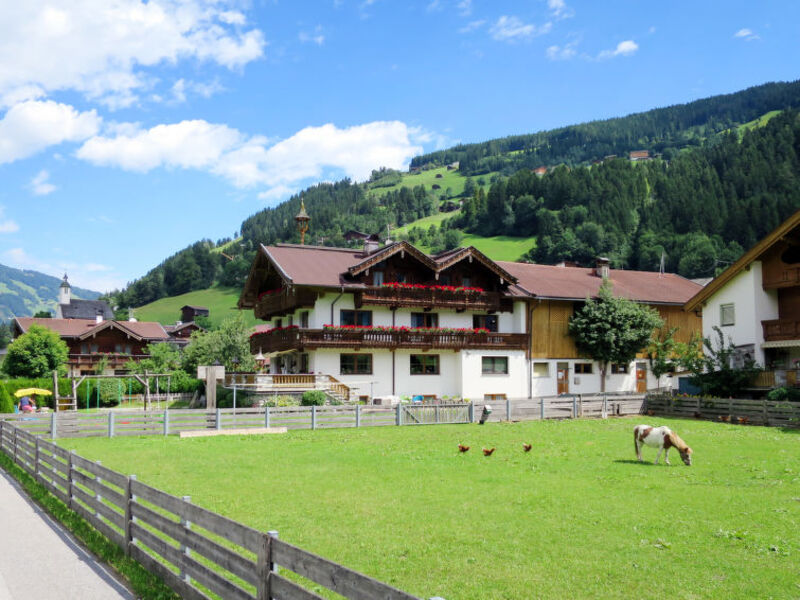 Bauernhof Heisenhaus