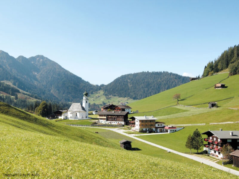 Berganger