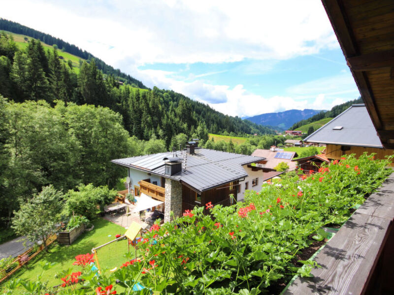 Fichtenblick
