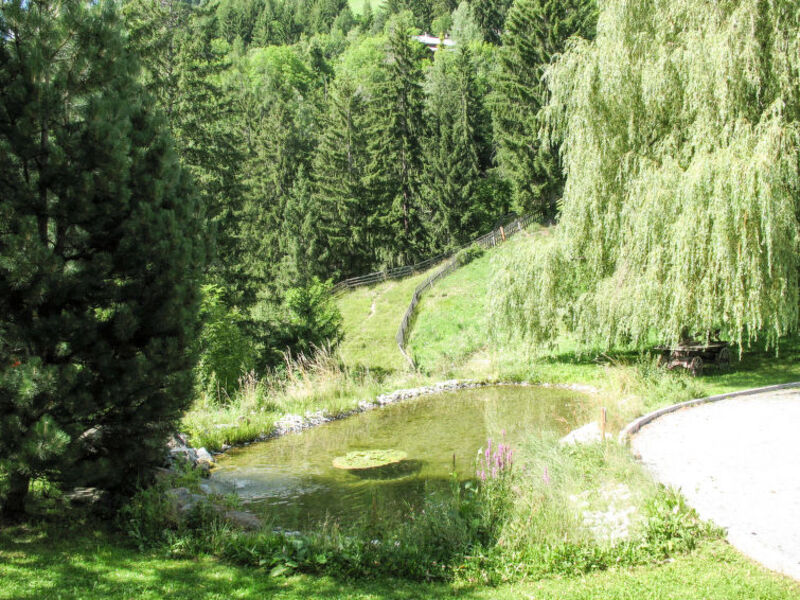 Wohnung Schrofenstein