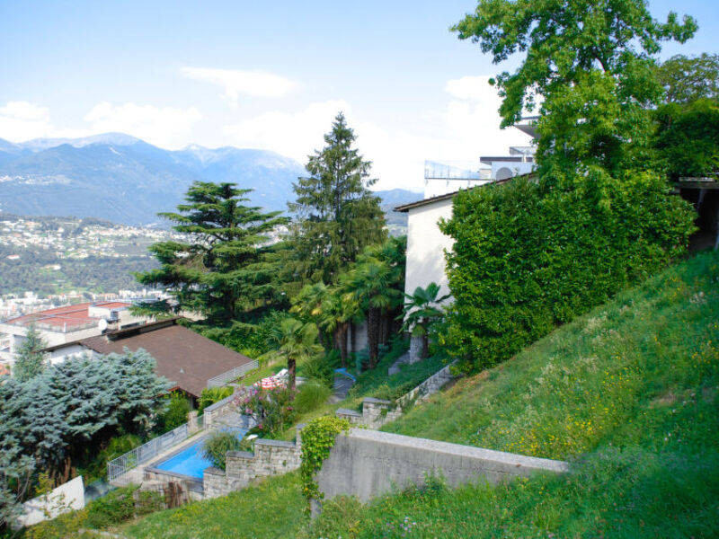 Nido Di Rondine