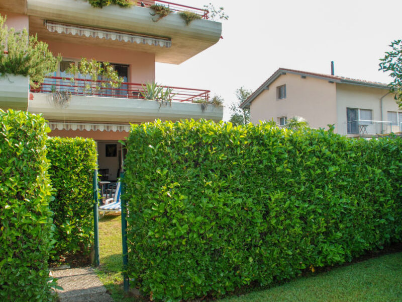 Caslago