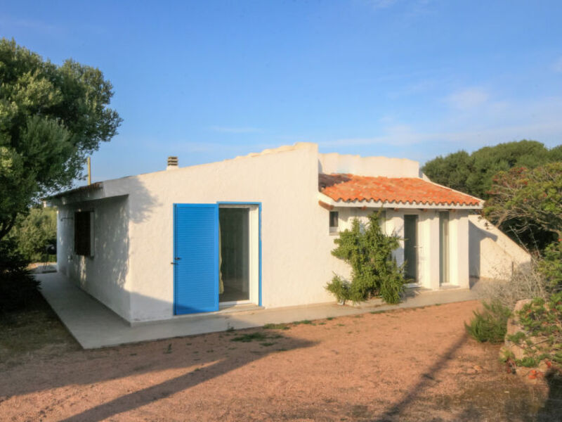 Contraruia