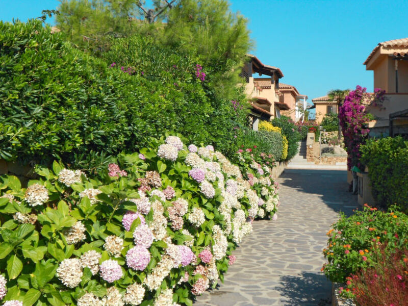 Baia De Bahas - Apartments & Resort