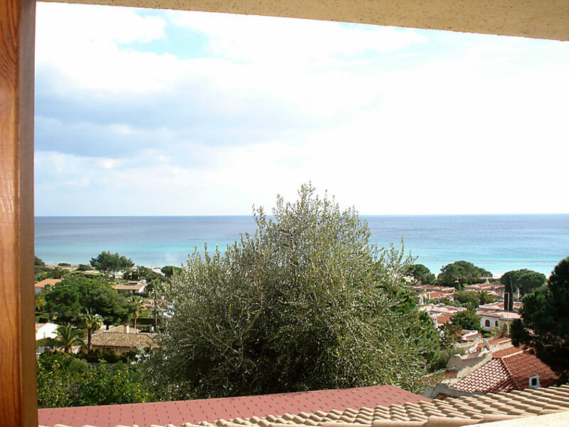 Belvedere