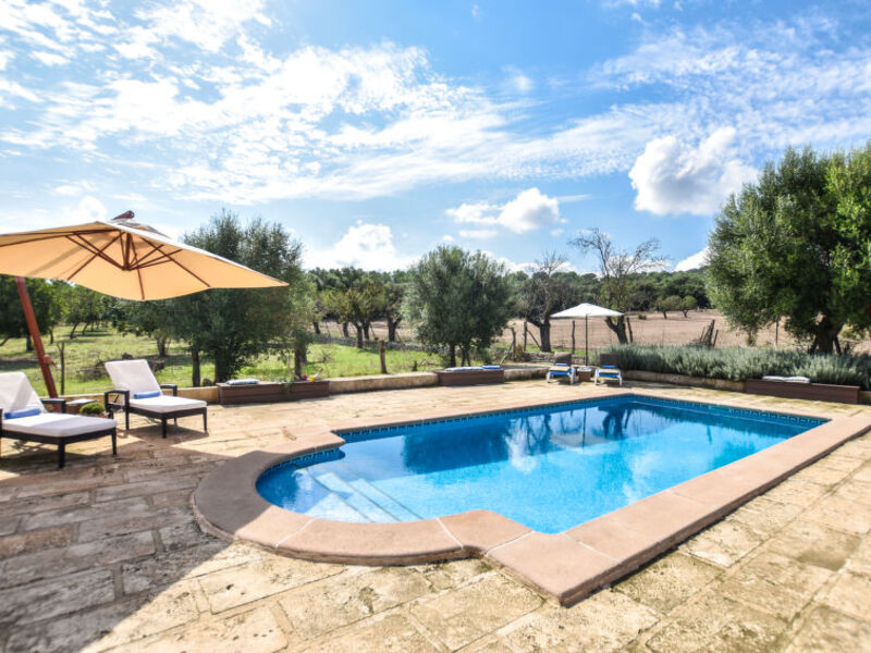 Finca Fangar