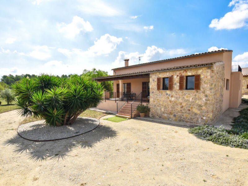 Finca Fangar