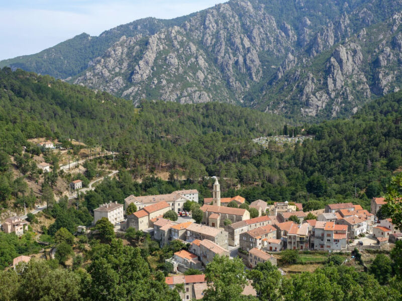 Migone De Sampolo